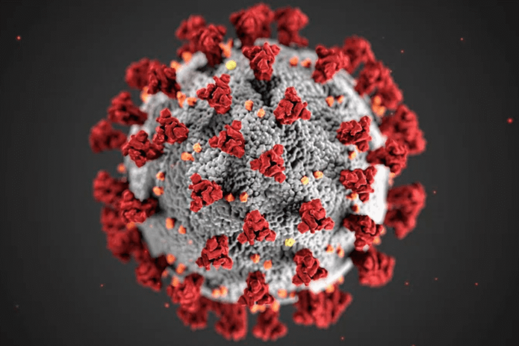 New Virus