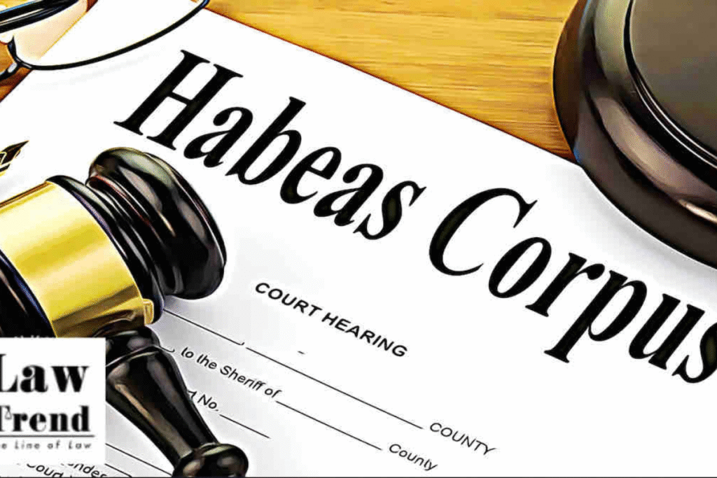 Habeas Corpus Suspension